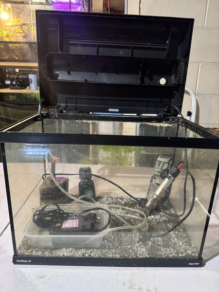 Ecostyle 47 tank set up Carousel 2