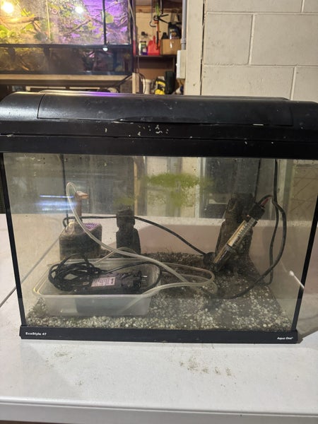 Ecostyle 47 tank set up Carousel 5