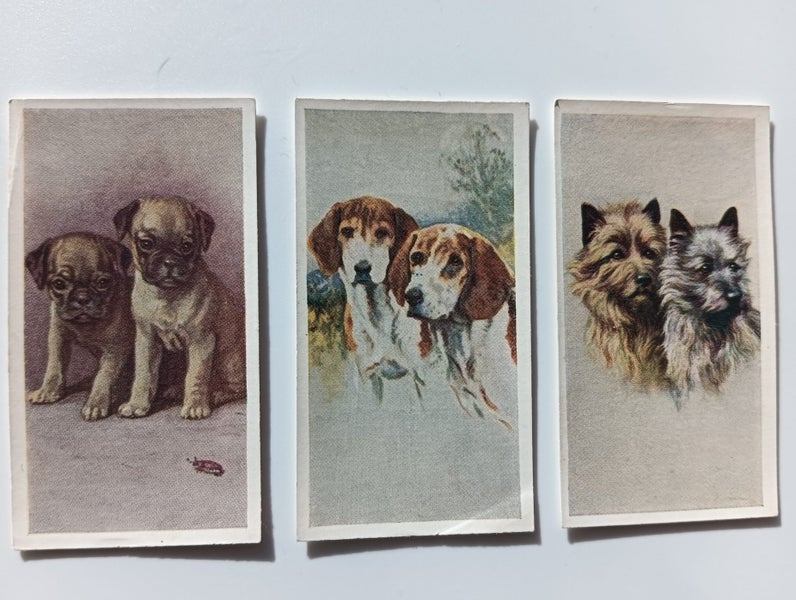 Godfrey Phillips Ltd. Our Dogs 1939. Cigarette Cards Carousel 1