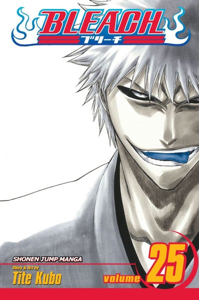 Bleach, Vol. 25 Carousel 1