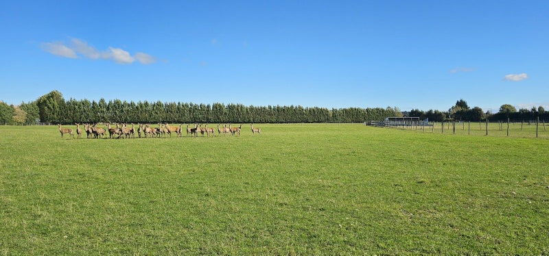 Image 2 of 15