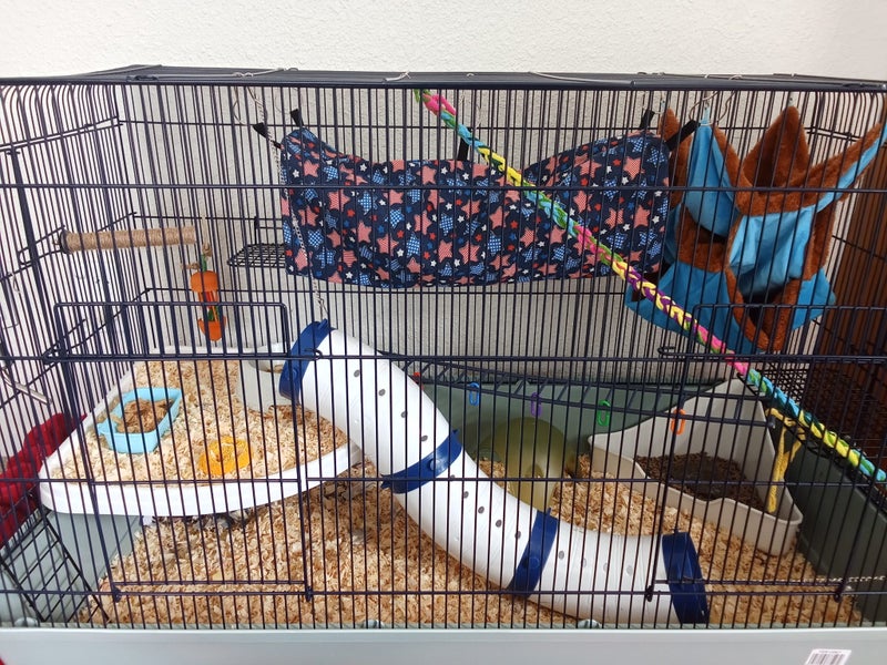 Rats, cage, accessories Carousel 2