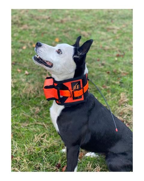 Game Gear Revolution Rip Collar Carousel 2