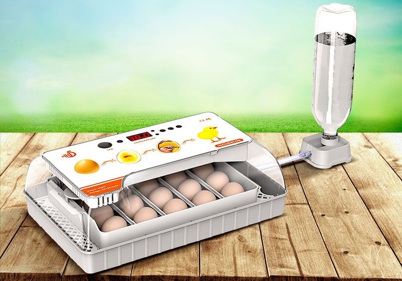 Egg Incubator Sale - NZ Stock Deal Carousel 1