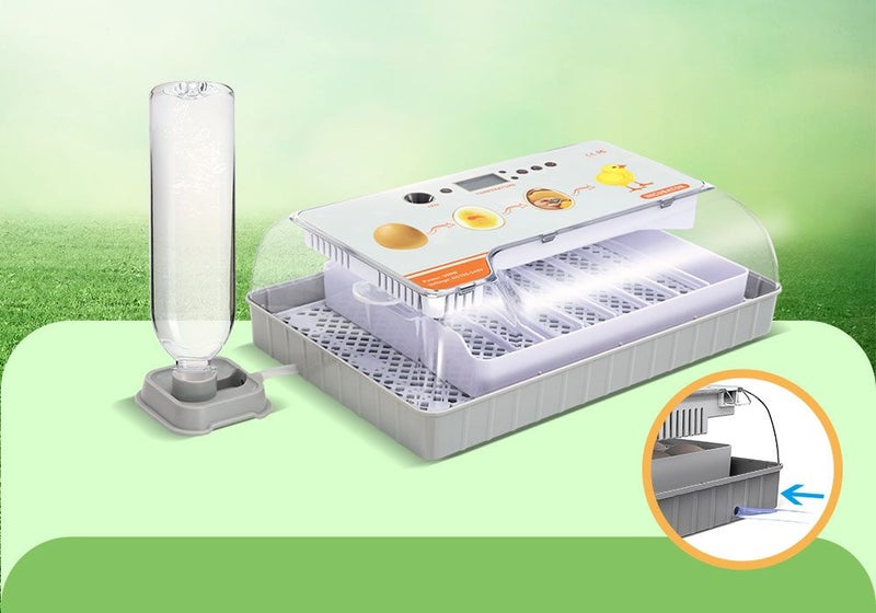 Egg Incubator Sale - NZ Stock Deal Carousel 2