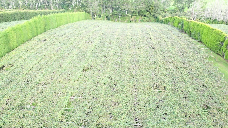 Image 1 of 19