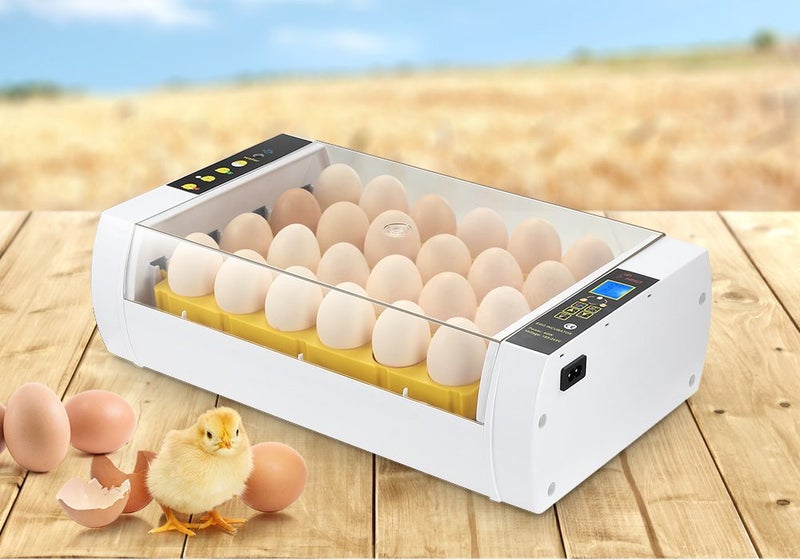Egg Incubator Automatic Carousel 2