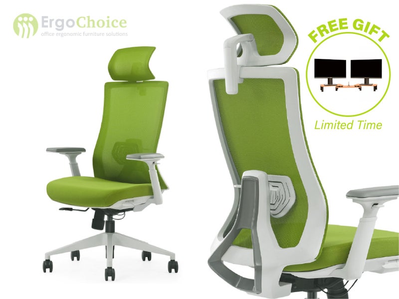 Ergonomic Office Chair Carousel 1