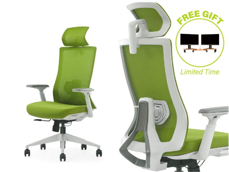 Ergonomic Office Chair Carousel 2