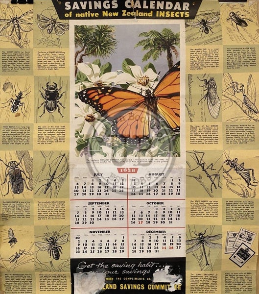 VINTAGE CALENDAR: Savings Calendar of Native Insects / NZ Savings Committee 1958 Carousel 1
