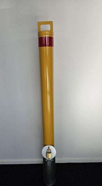 Removable Bollard Carousel 3