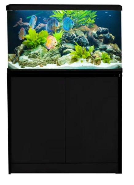 Aquariums Carousel 1