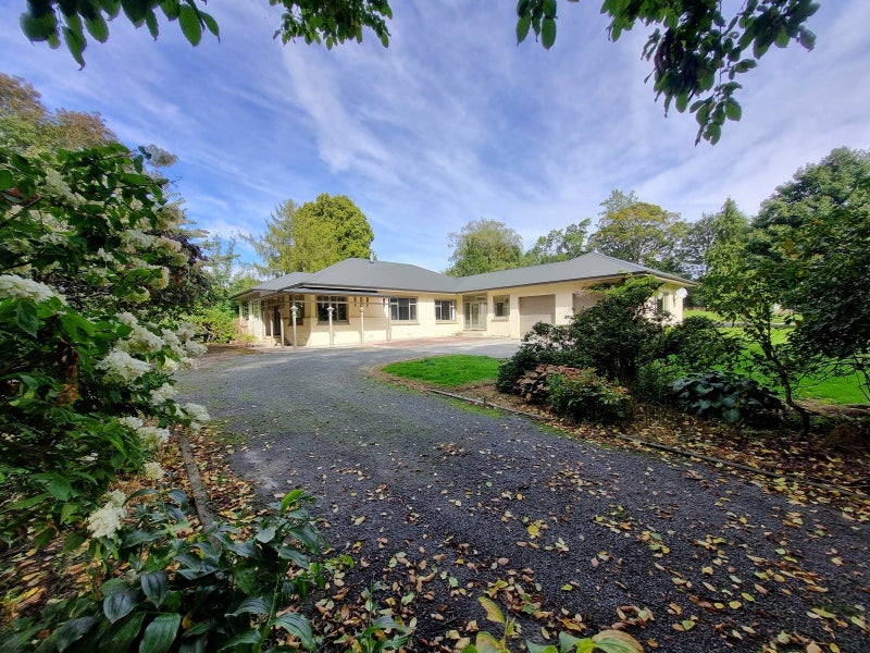 Image 1 of 19
