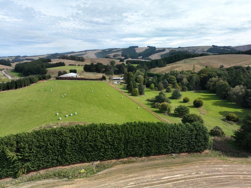 Image 2 of 19