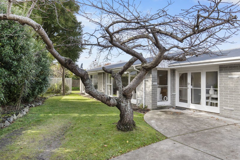 Image 1 of 19