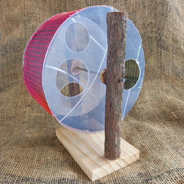 Mouse Wheel - Large Carousel 1
