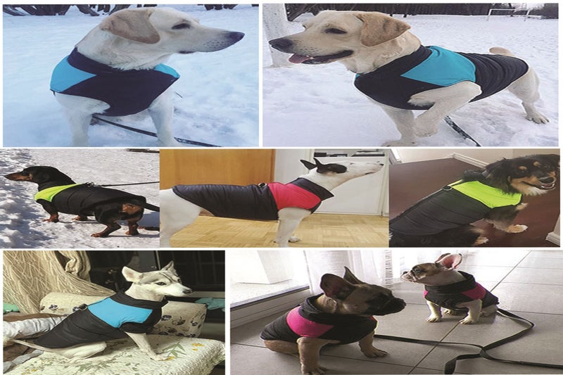 XL Pink Dog Jacket Padded Waterproof Pet Clothes Warm Vest Coat Winter Cloth Carousel 10