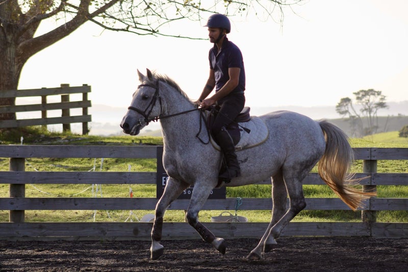 Ultimate second pony62863856577154112