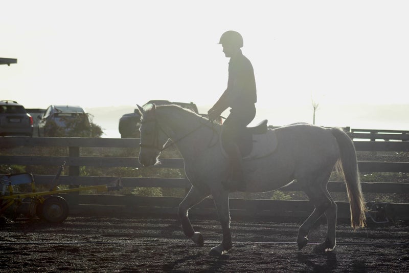Ultimate second pony62863856577154113