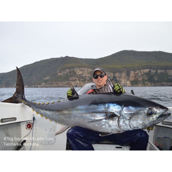 BLACK MAGIC JONAHS KONA XT 8" SUPER LUMO LURE GAME SINGLE RIGGED Carousel 2