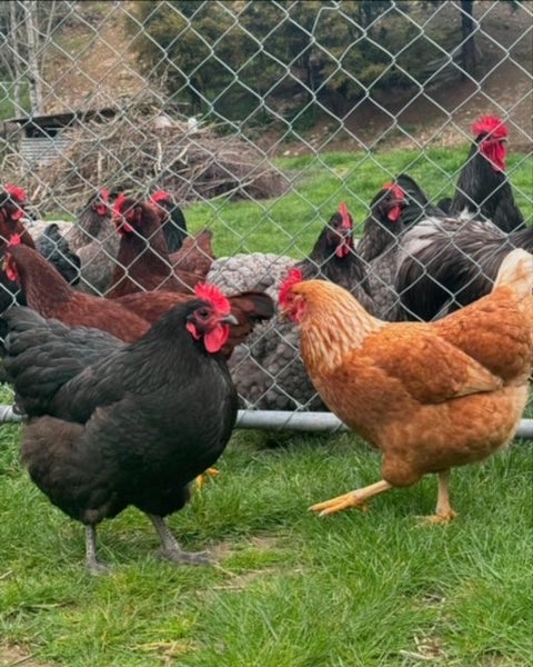 Wakefield, 4 bedrooms64074800481409113