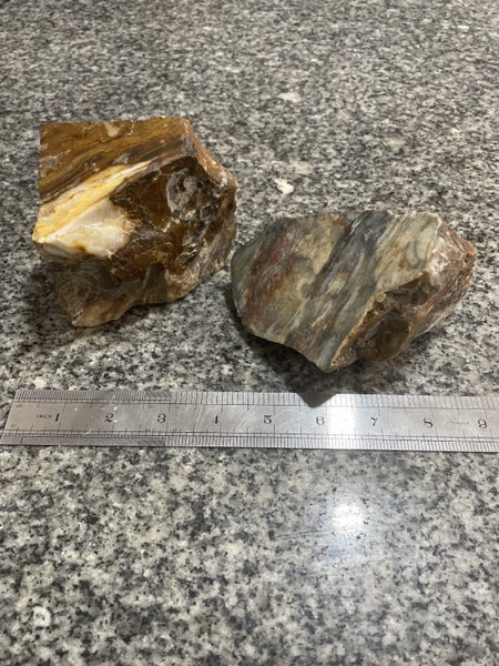 Petrified Wood Carousel 1