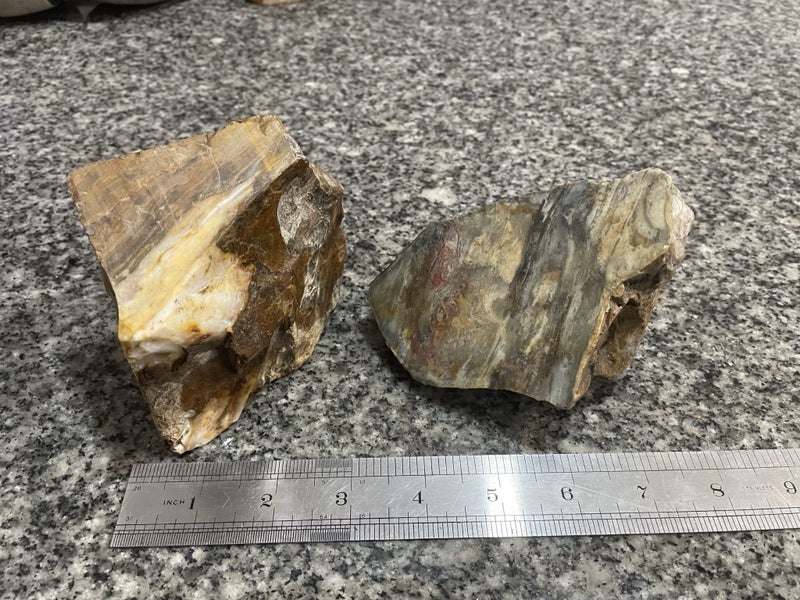 Petrified Wood Carousel 2