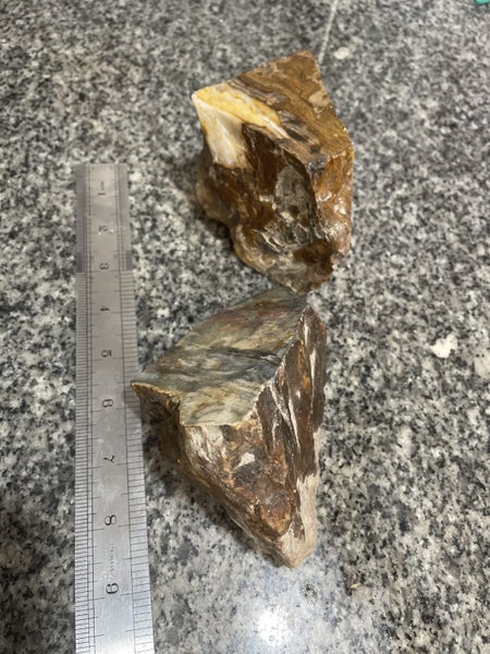 Petrified Wood Carousel 3