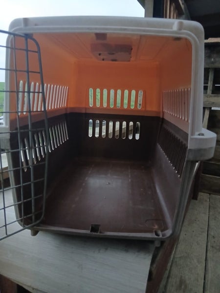 Animal Carry Cage Carousel 3