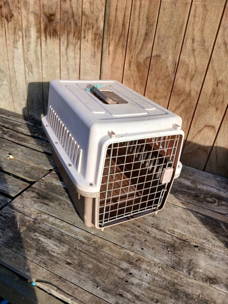 Animal Carry Cage Carousel 1