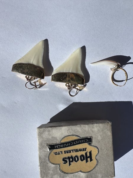 Earrings Carousel 1