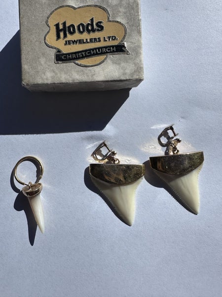 Earrings Carousel 2