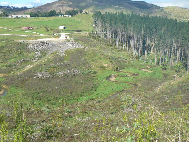 Image 1 of 22
