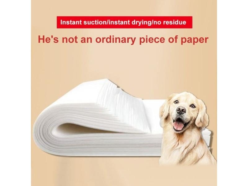 50/100PCS Potty Pad Dog Cat Urine Absorbent Paper Pads Pet Potty Disposable Carousel 1