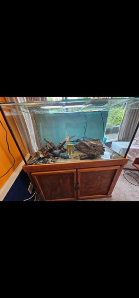 360l fish tank Carousel 1