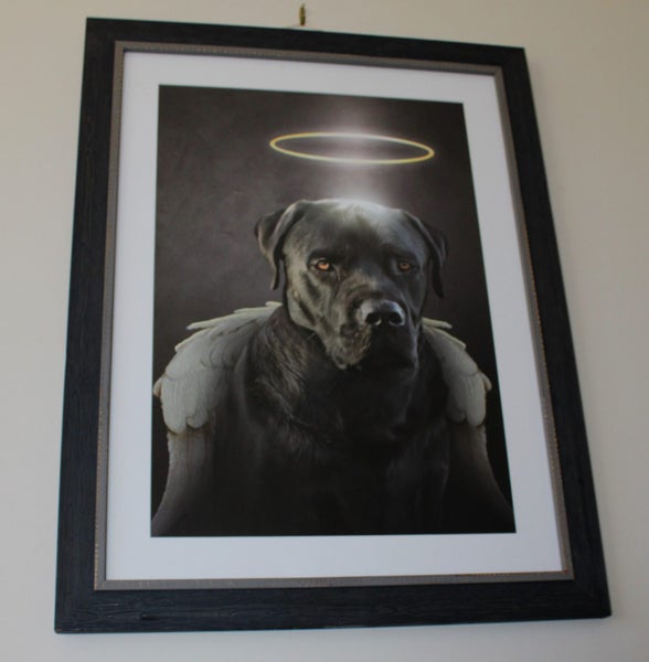 +++ QUALITY DOG PORTRAIT PRINT +++ Carousel 1