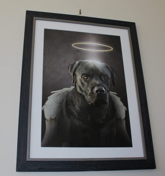 +++ QUALITY DOG PORTRAIT PRINT +++ Carousel 2