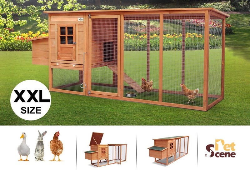 Chicken Coop Wooden Carousel 1