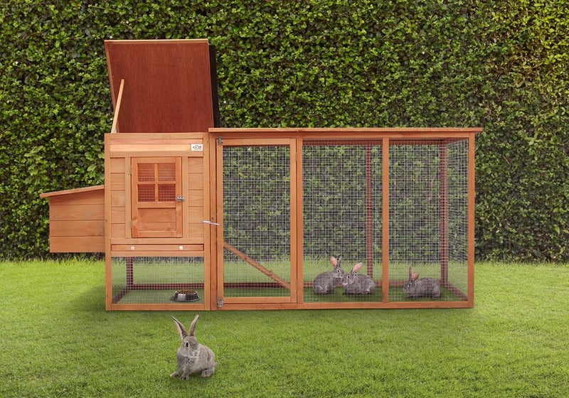 Chicken Coop Wooden Carousel 2