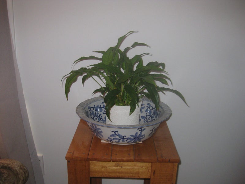 Large Bowl Platter could be used as Planter Carousel 3