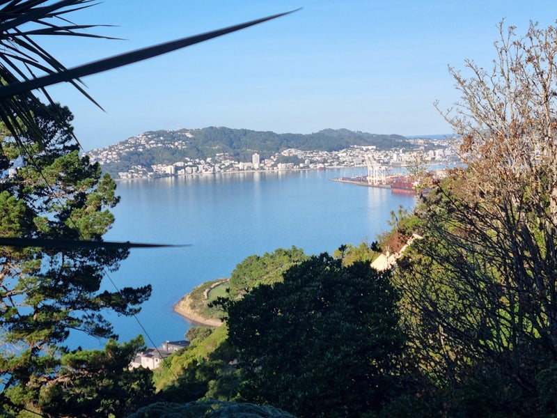 Image 1 of 14