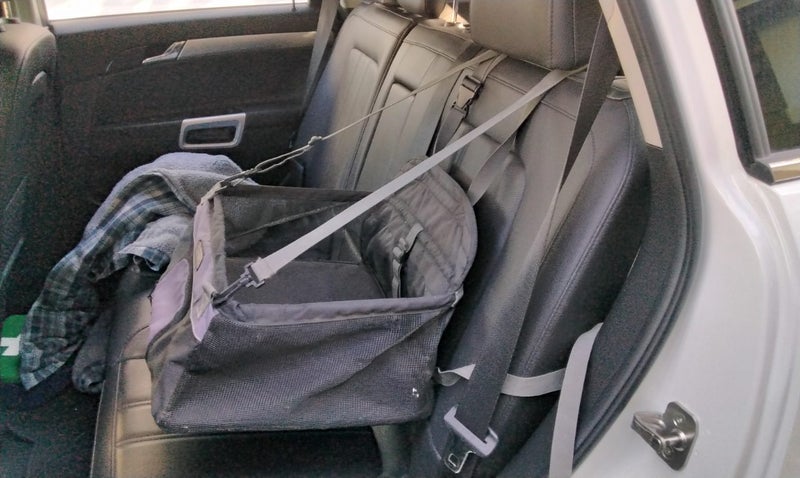 Outward Hound Car Booster Seat Carousel 2