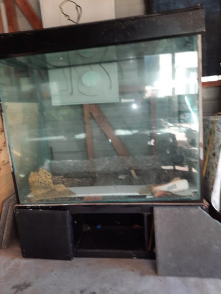 Huge Glass tank aqurium/Terrarium Carousel 1