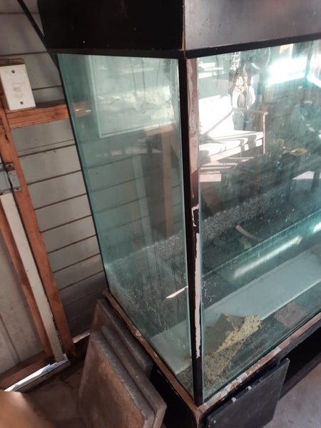 Huge Glass tank aqurium/Terrarium Carousel 2
