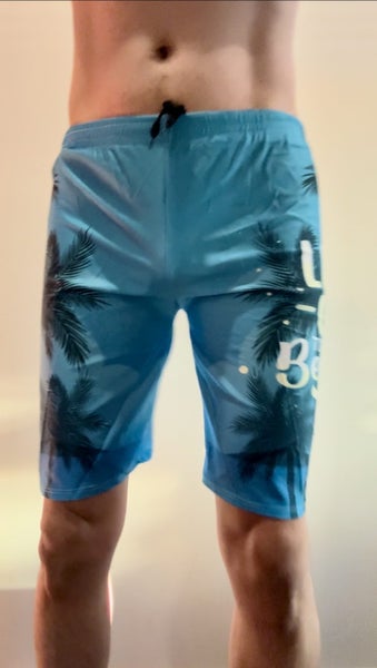 Mens Swim Bottom Trunks Beach Short Pants Quick-drying Carousel 2
