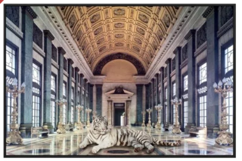 White Tiger Canvas Wall Art Carousel 1