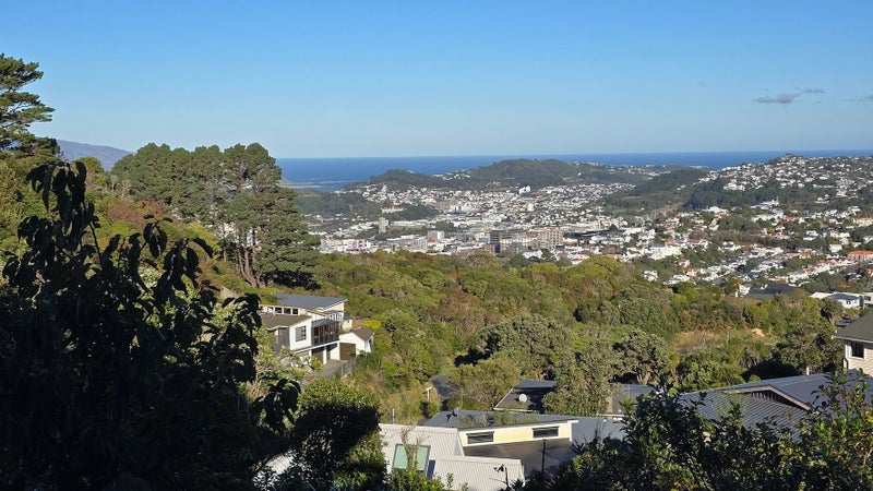 Image 1 of 11