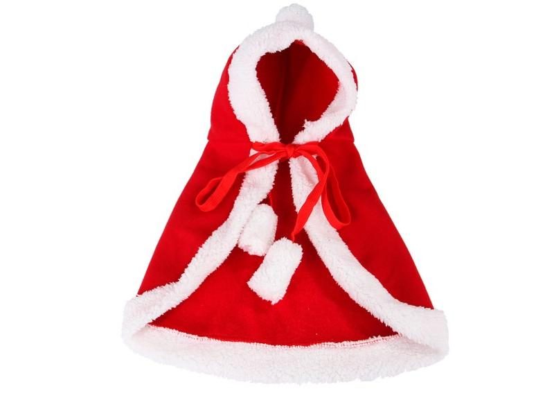 Cat Clothing Carousel 1