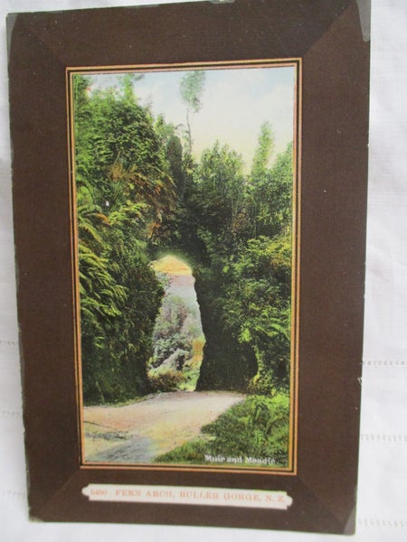 Fern Arch Buller Gorge NZ Postcard by Muir Moodie .... PC 054 Carousel 1