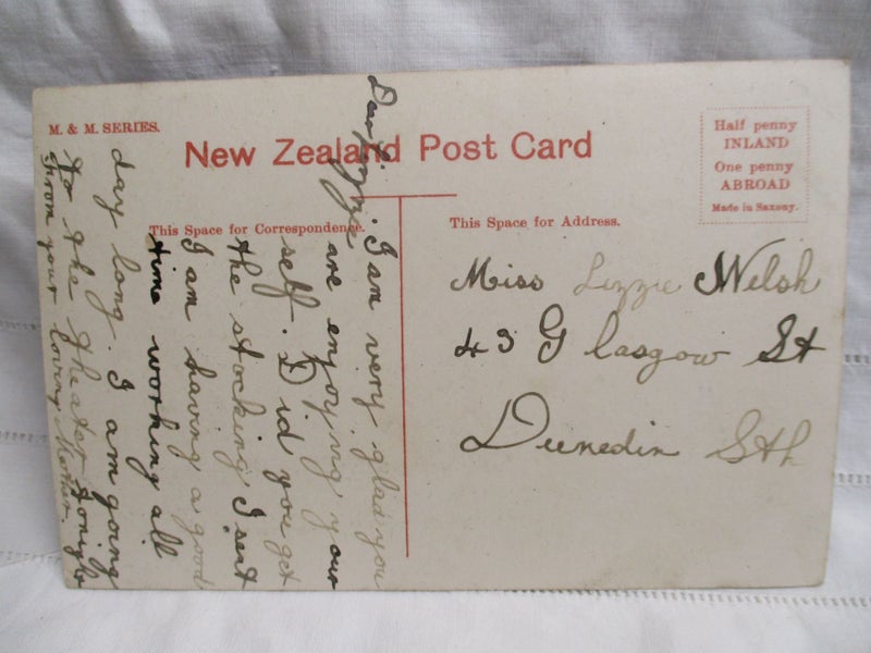 Fern Arch Buller Gorge NZ Postcard by Muir Moodie .... PC 054 Carousel 2